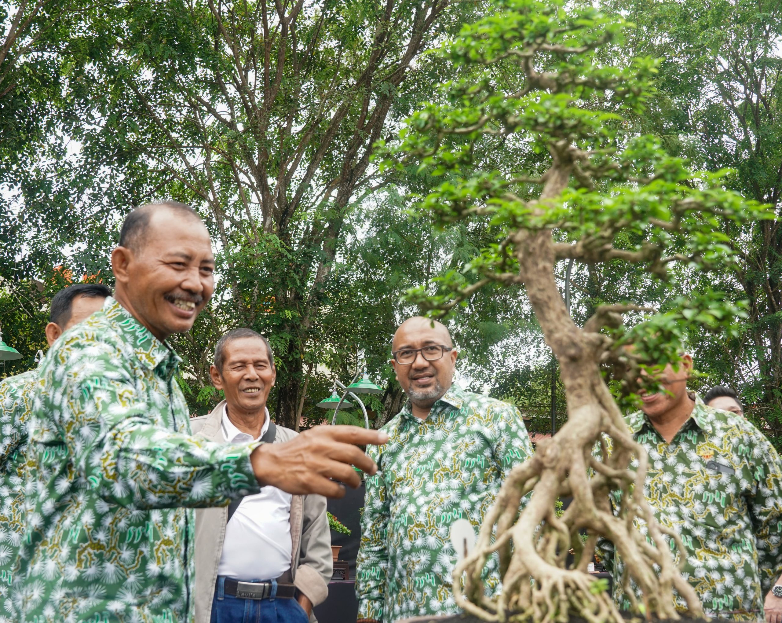 Pameran Dan Kontes Bonsai Nasional Di Tanjungpinang Peserta Dari Batam